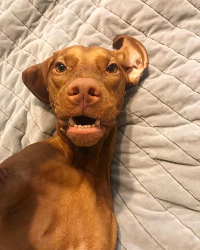 144663983_388991389270952_6914242053013520868_n